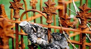 Example of Cemetery Ironwork